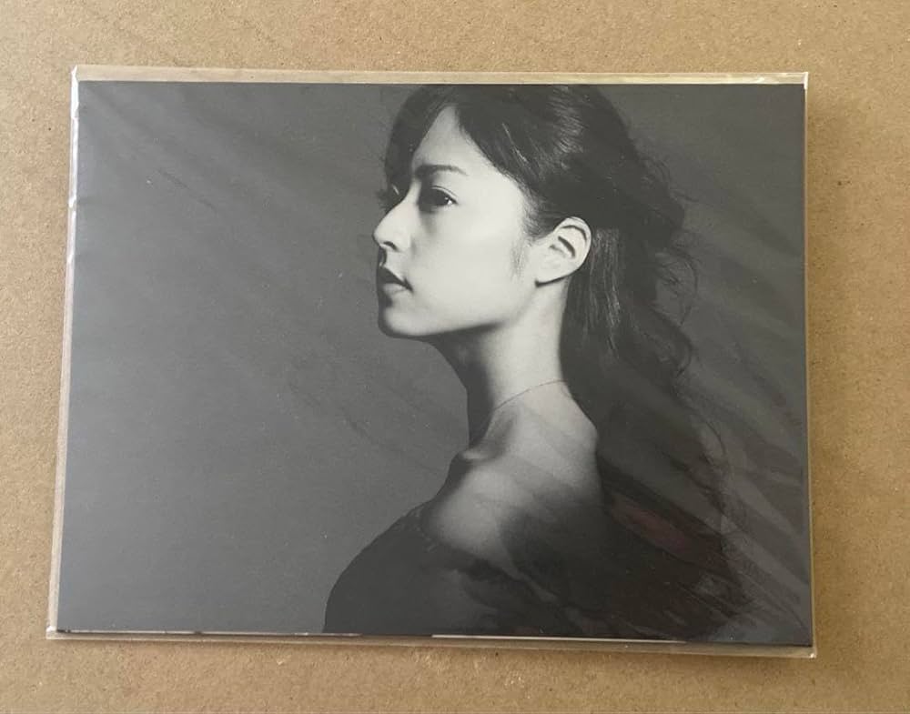 嵐 入手困難 花より男子ファイナル 映画 パンフレット 松本潤 小栗旬 井上真央 Amazon.co.jp: 嵐,松本潤,井上真央,小栗旬,松田翔太,阿部力